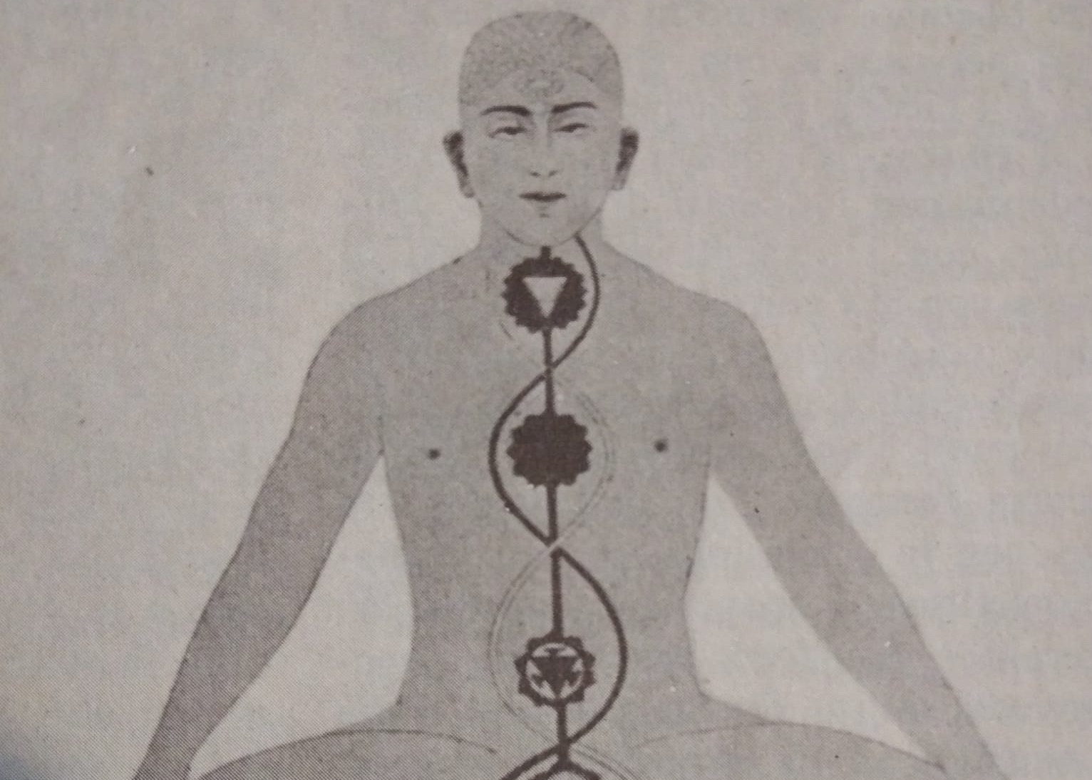 Corso di Yoga