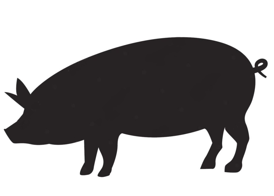 ISTRUZIONI PER LA MACELLAZIONE DOMESTICA DEI SUINI