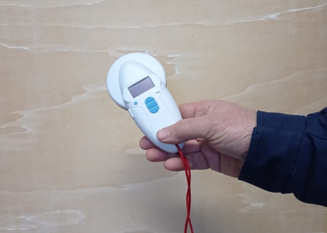 CANI VAGANTI?  CHIAMARE LA POLIZIA LOCALE