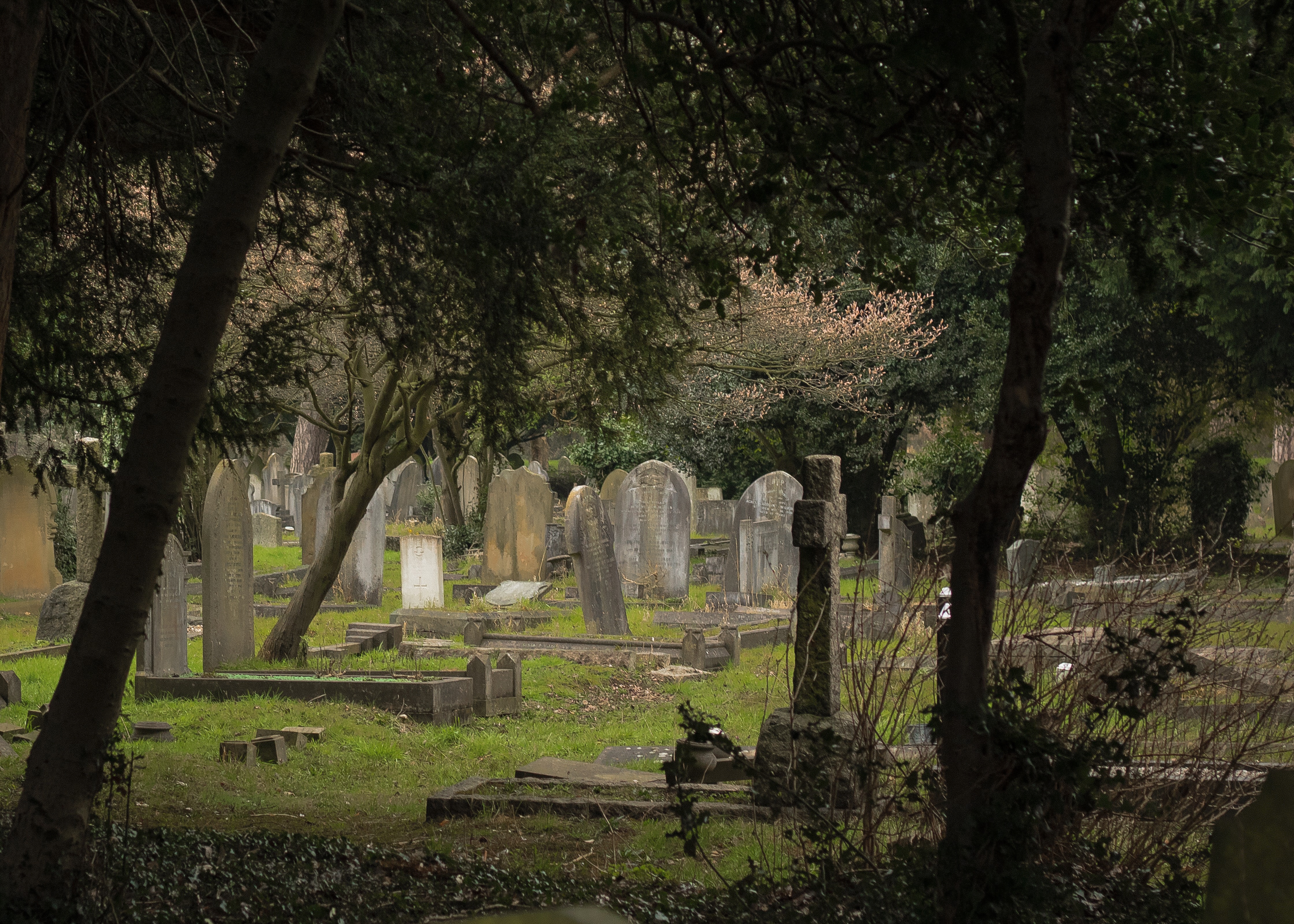 Servizio Cimiteriale