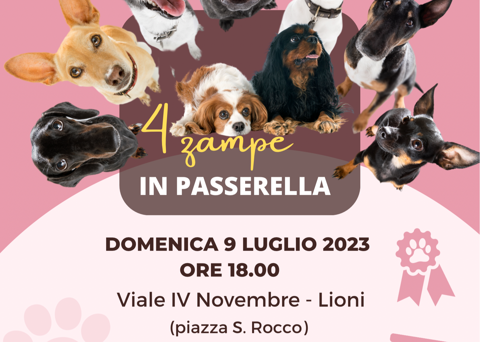 4 zampe in passerella: prima edizione a Lioni!