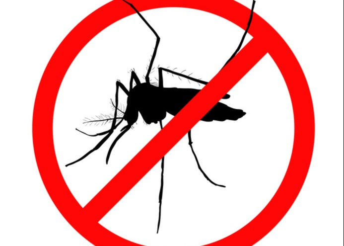 Disinfestazione aree verdi
