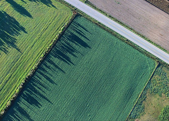 Azienda Faunistico Venatoria “Valli di Comacchio”: Stagione Venatoria 2023-2024