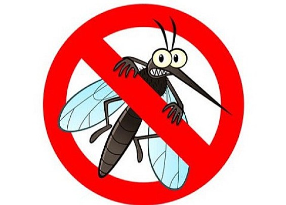 DISINFESTAZIONE ZANZARE
