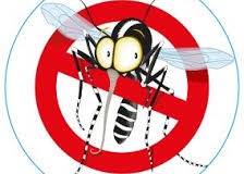DISINFESTAZIONE CONTRO ZANZARE ADULTE E GATTE PELOSE