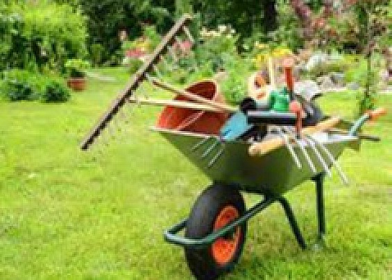 MANUTENZIONE E RIMOZIONE VEGETAZIONE SU VIE ED AREE PUBBLICHE E PRIVATE