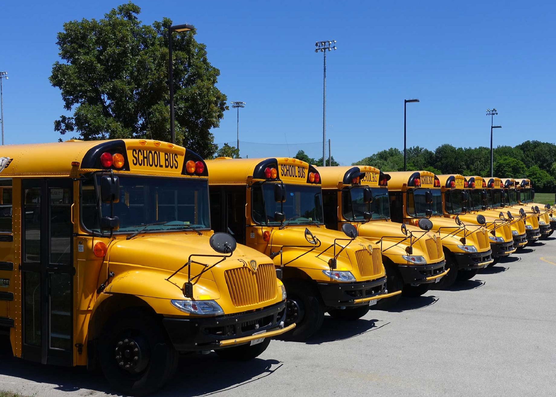 Servizio trasporto scolastico comunale per le scuole primarie e scuola secondaria di primo grado per a.s. 2023/2024