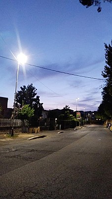 IMG_2126