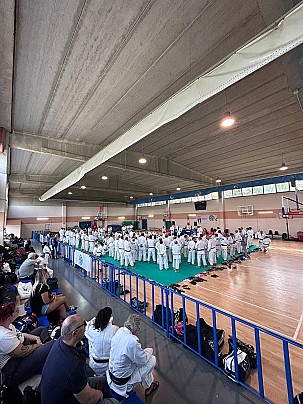 IMG_2131