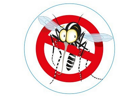 DISINFESTAZIONE AREE VERDI