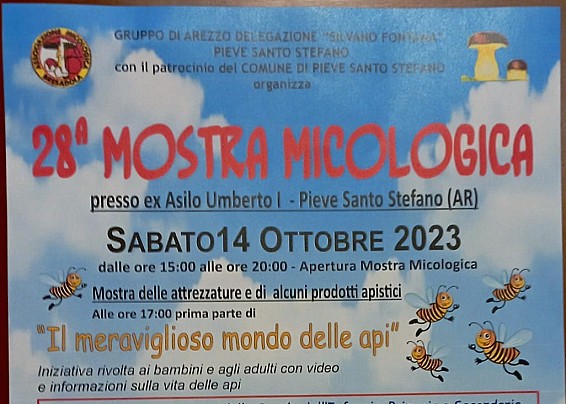 MOSTRA MICOLOGICA 28ma EDIZIONE