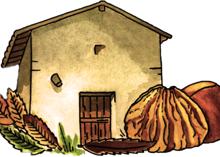 "La Mosciarella delle Casette di Capranica Prenestina" a Geo