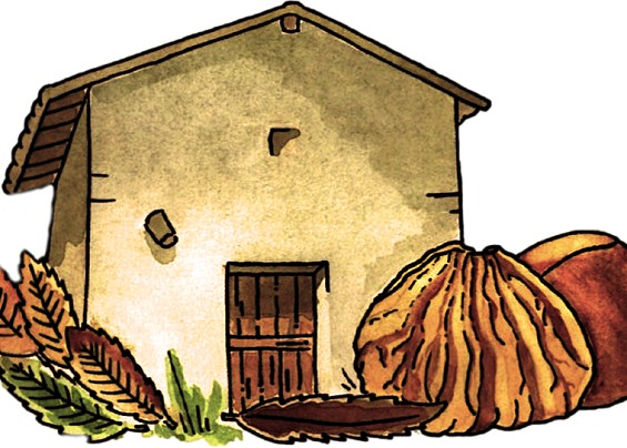 "La Mosciarella delle Casette di Capranica Prenestina" a Geo