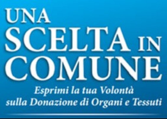 UNA SCELTA IN COMUNE