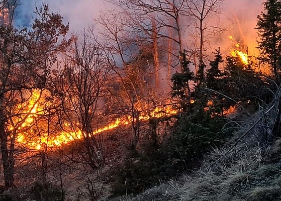 CATASTO INCENDI COMUNE DI DUALCHI - ANNI 2023 e 2024
