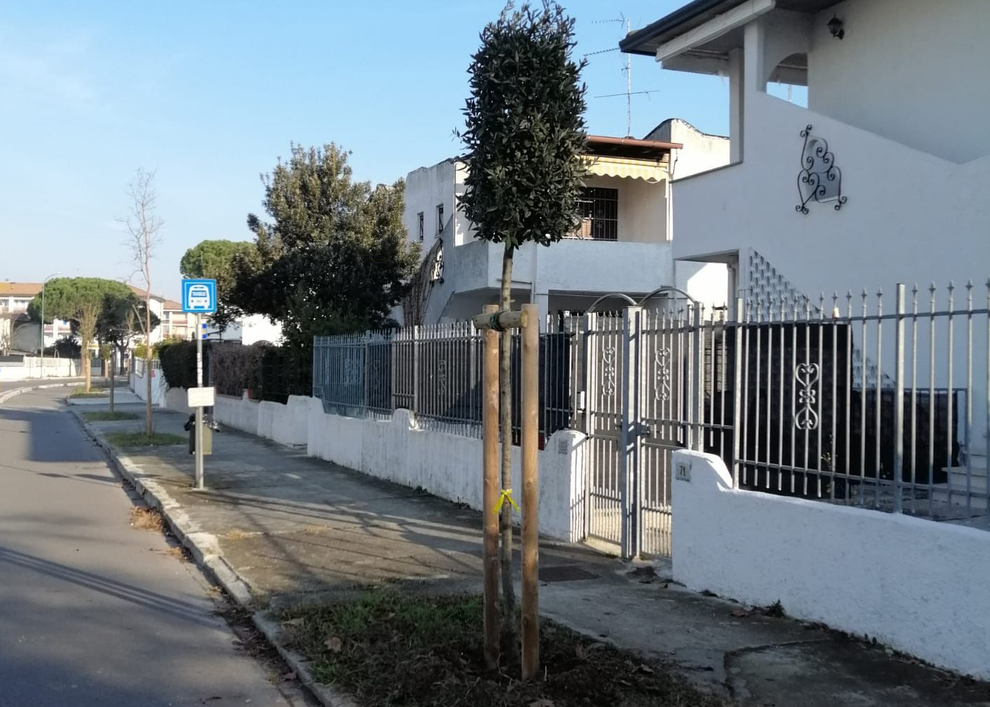 Il Natale "green" di Comacchio
