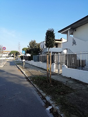 Comacchio_dimora lecci 3