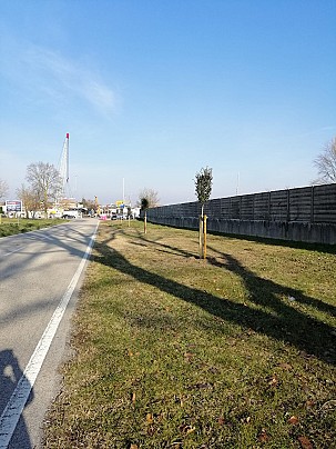 Comacchio_dimora lecci 2