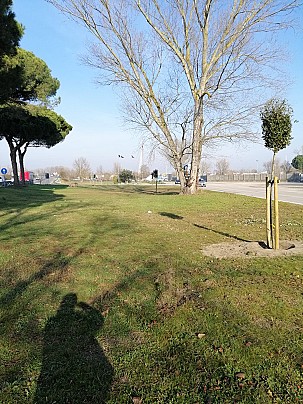 Comacchio_dimora lecci