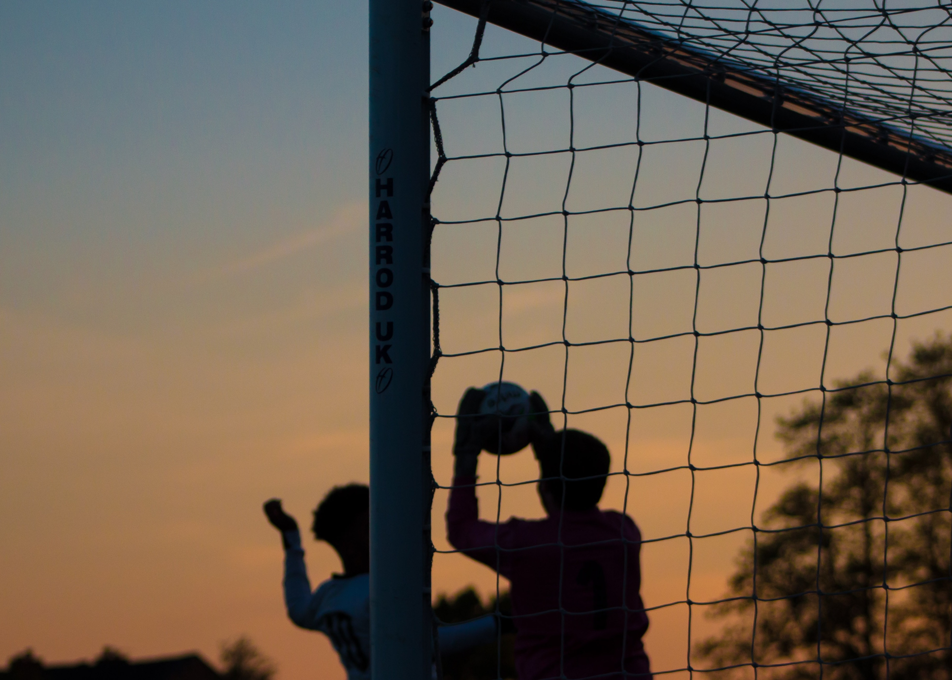 AGGIORNAMENTO ALBO COMUNALE DELLE ASSOCIAZIONI SPORTIVE DILETTANTISTICHE ANNO 2024