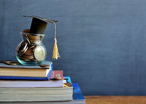 Bando per erogazione borse e assegni di studio anno scolastico 2024/2025