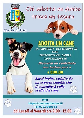 Adotta-un-cane_Tissi definitivo