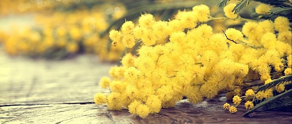 8 Marzo - Festa della Donna