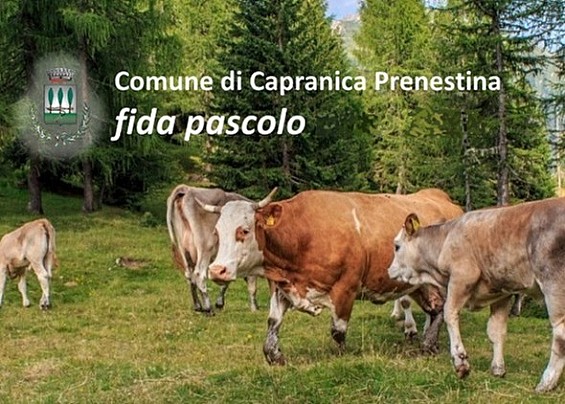 AVVISO PUBBLICO BANDO DI CONCESSIONE ALL’ESERCIZIO DELLA FIDA PASCOLO anno 2024