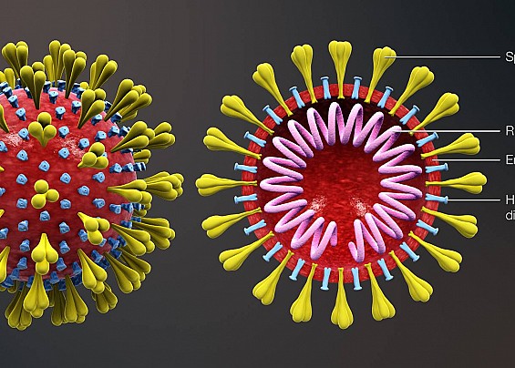 COVID-19/CORONAVIRUS: Proroga Ordinanze Sindacali (Parchi - Cimitero - Uffici)