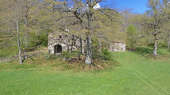 1024px-MadonnadelFaggio