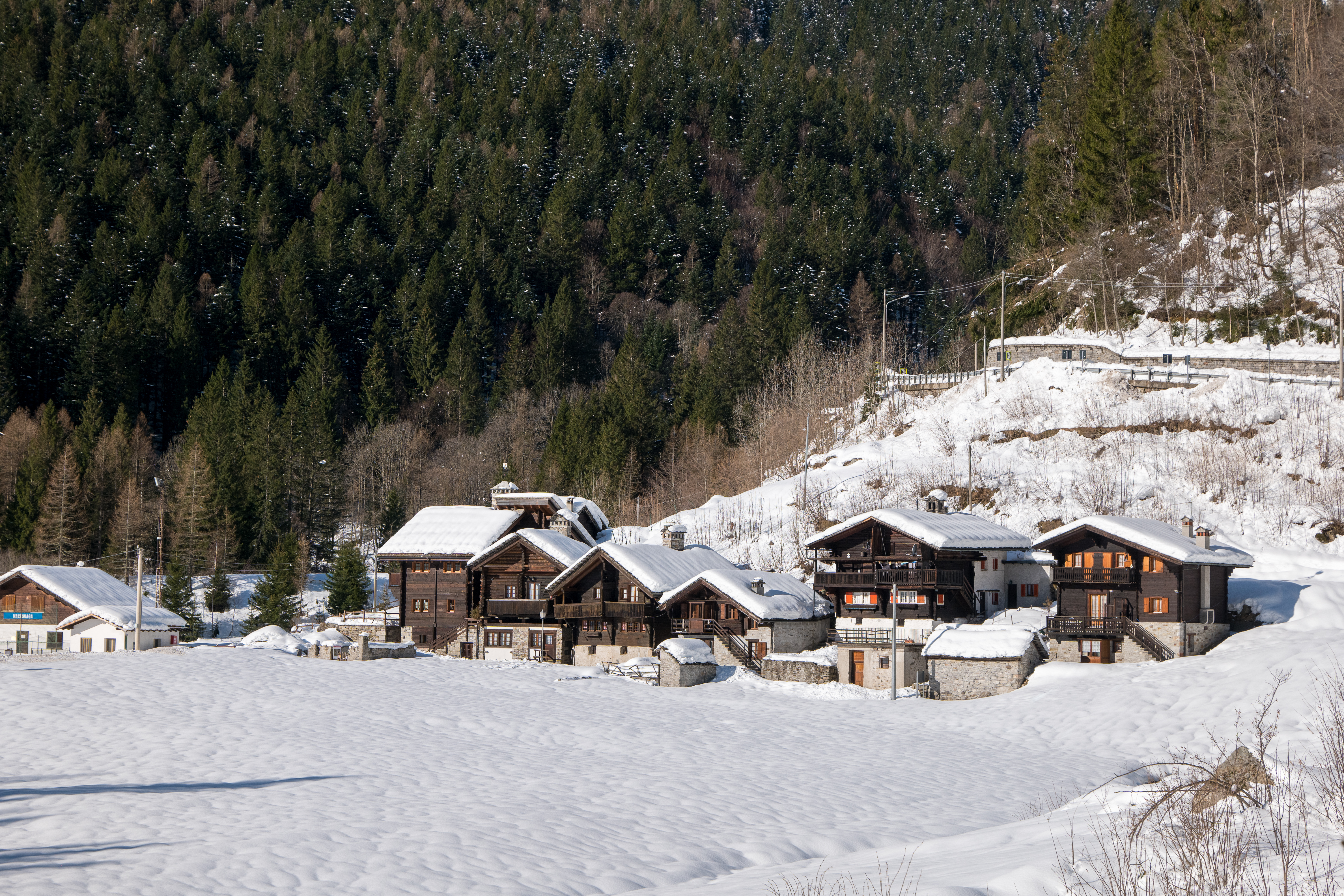 Ossola_collection-23-12032024