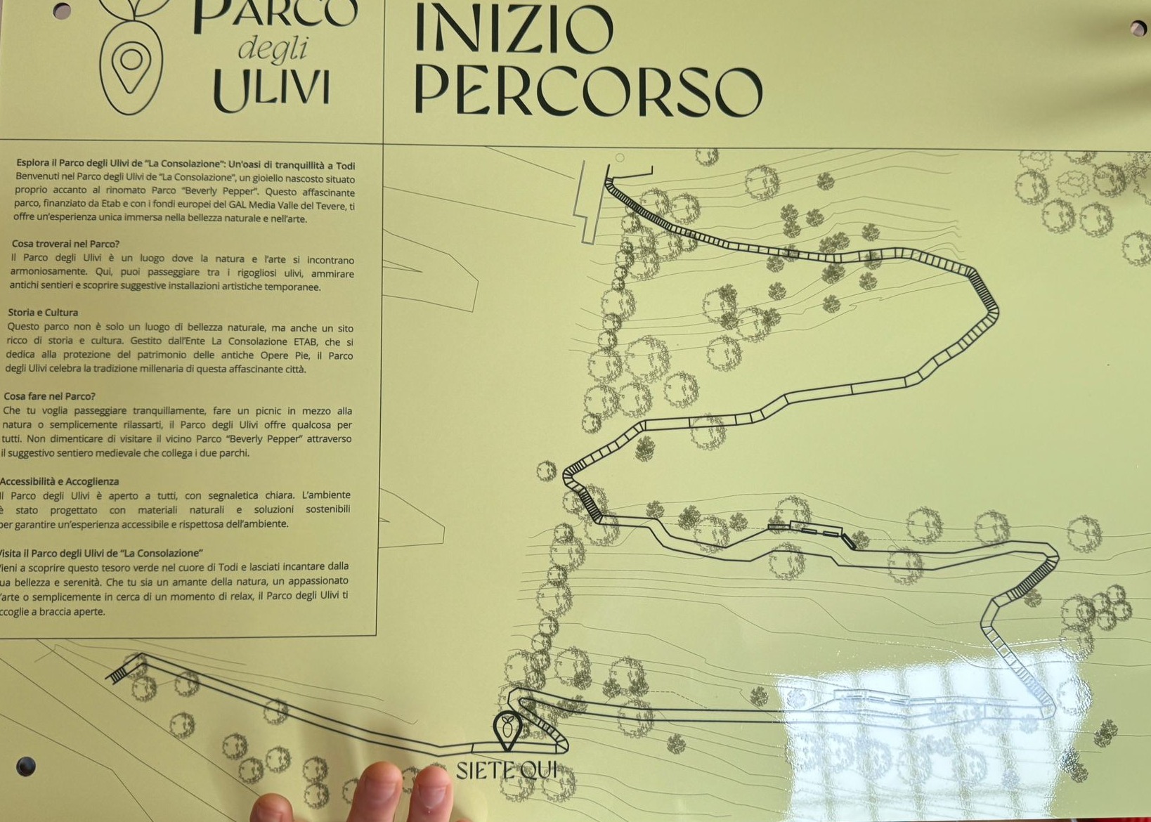 Contenuti Multimediali Parco Olivi della Consolazione