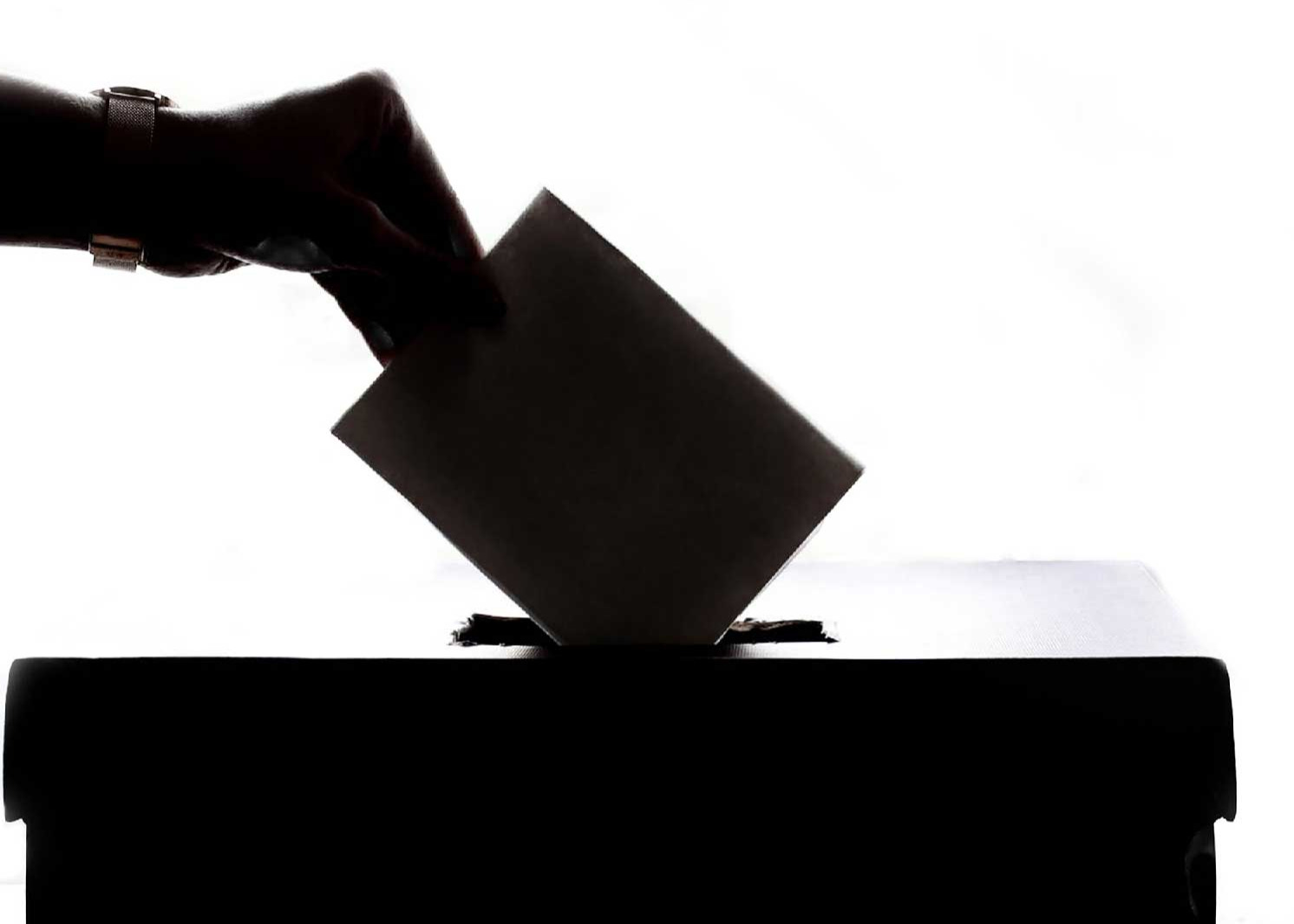 Elezioni Europee 8-9 giugno 2024 - Servizio elettorale.