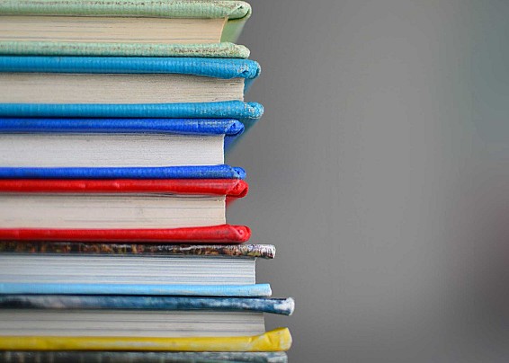 FORNITURA LIBRI DI TESTO SCUOLA PRIMARIA A.S. 2024/2025 - CEDOLE LIBRARIE PER GLI ALUNNI RESIDENTI NEL COMUNE DI MANERBA D/G