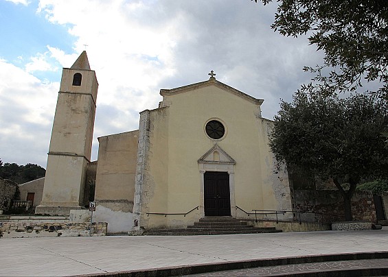 Immagine non trovata