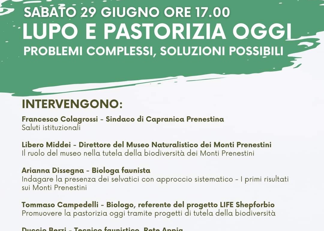 LUPO E PASTORIZIA OGGI