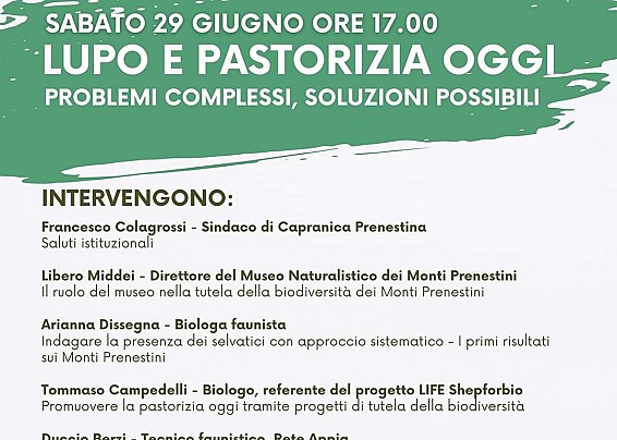 LUPO E PASTORIZIA OGGI