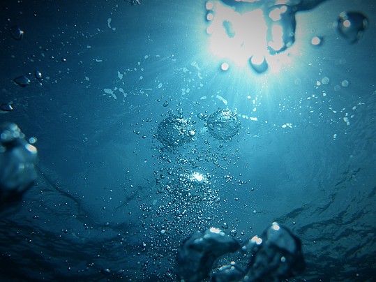 La Sinfonia dell'acqua - anno 2026 - (Concerti estivi presso i fontanili - 12 edizione)