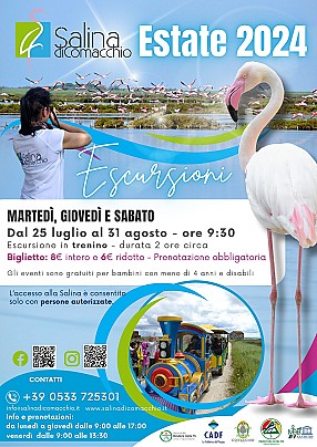 Locandina Salina 2024