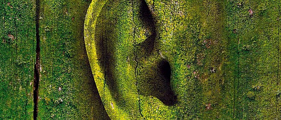 Terre Sonore