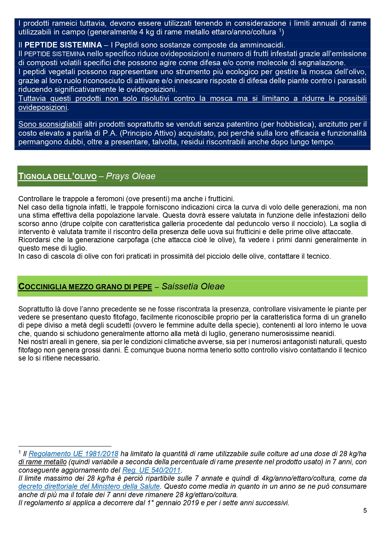 08 BOLLETTINO FITOPATOLOGICO OLIVO COMUNE DI CASTIGLION FIORENTINO anno 2024_page-0005