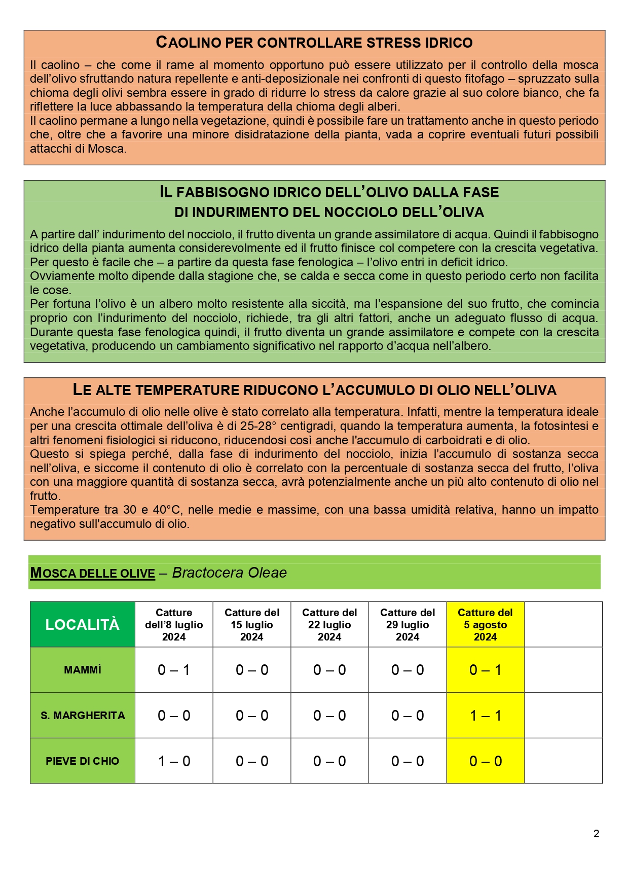 08 BOLLETTINO FITOPATOLOGICO OLIVO COMUNE DI CASTIGLION FIORENTINO anno 2024_page-0002