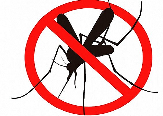Misure per il contenimento delle Zanzare