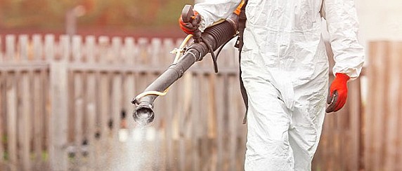 Consigli per il contenimento delle zanzare