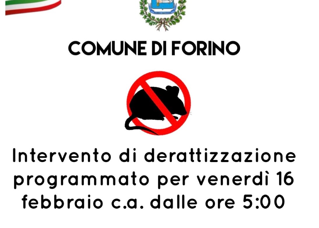 Immagine principale