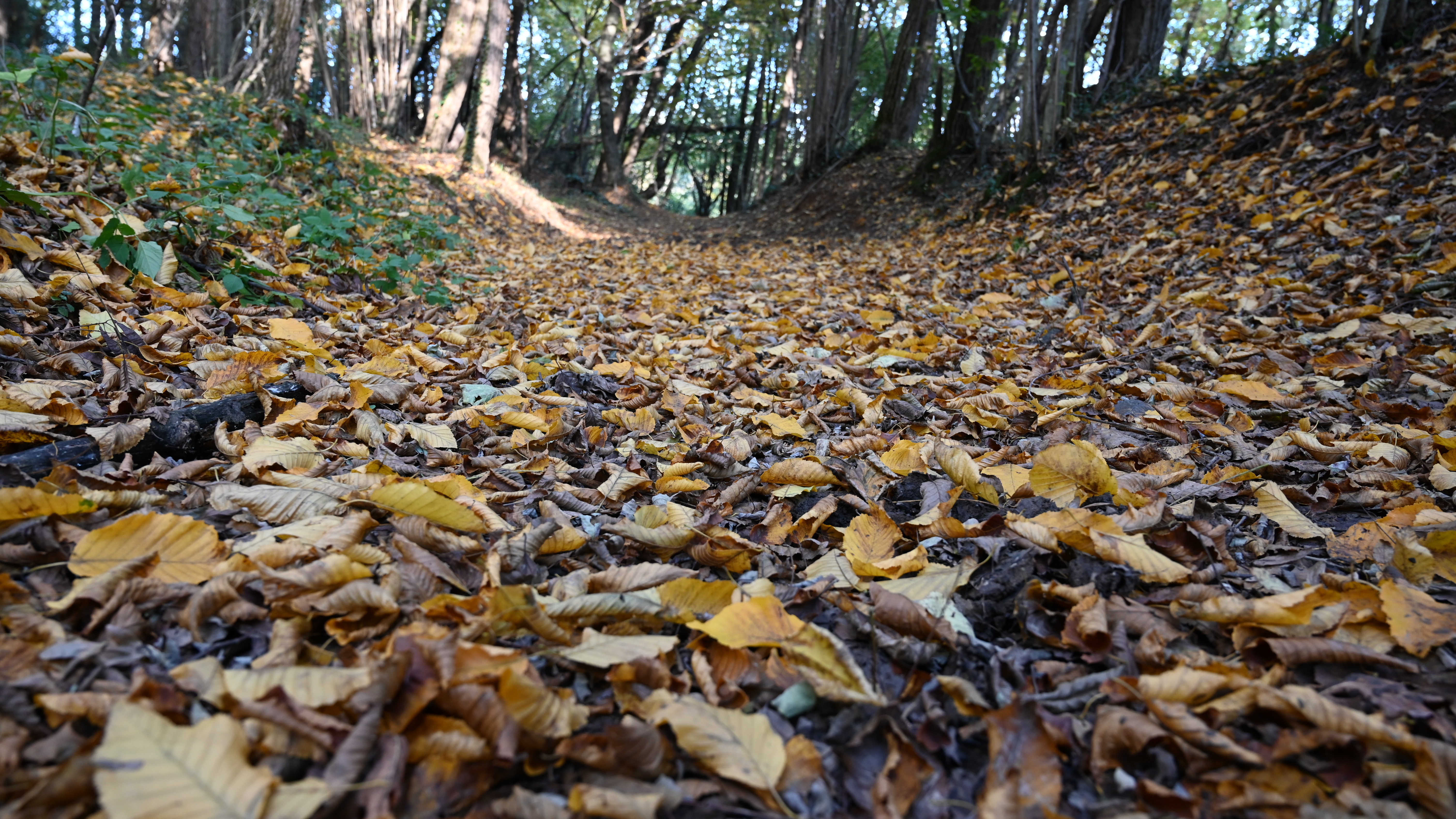 Casatenovo_dintorni (14)