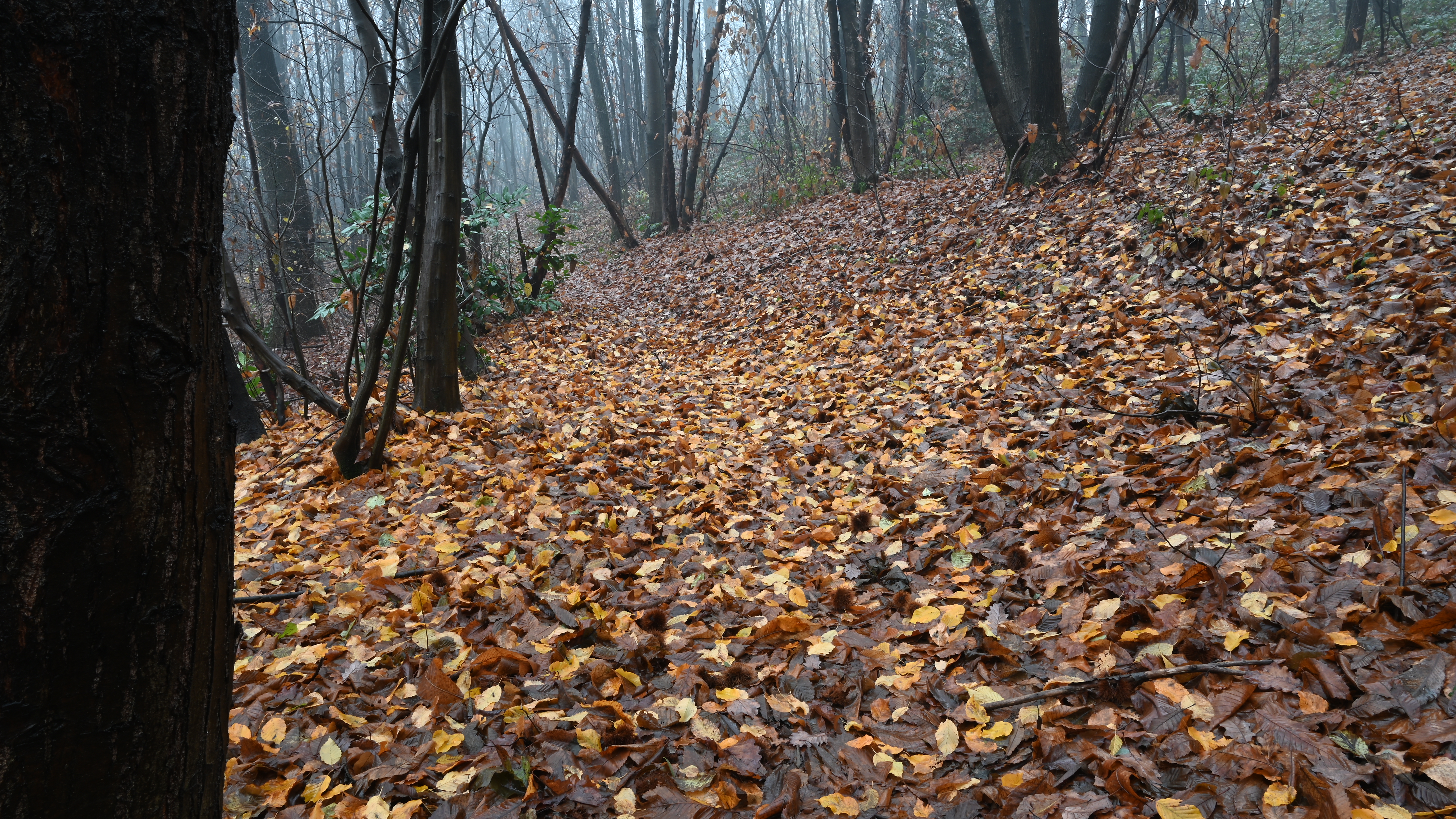 Casatenovo_dintorni (19)