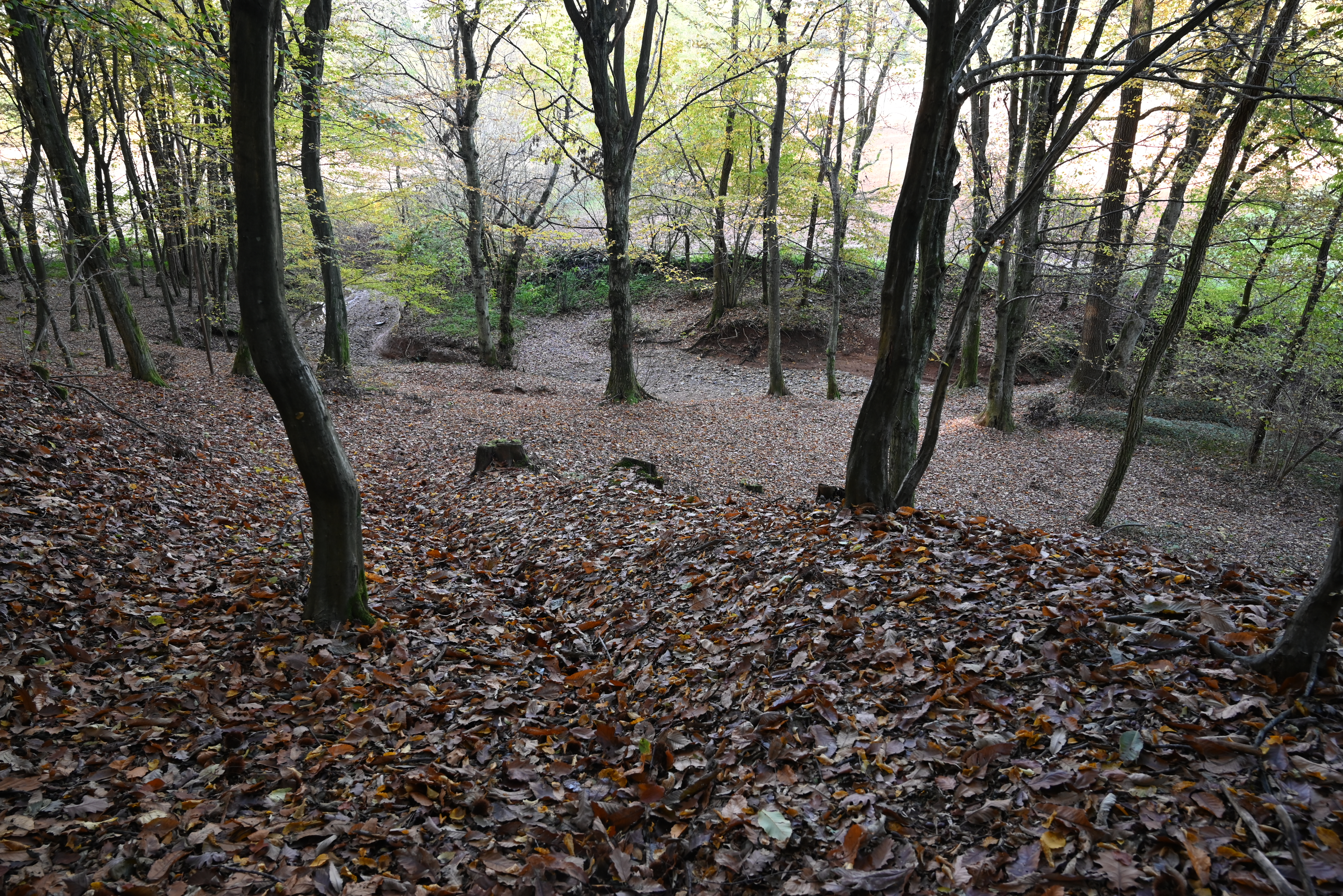 Casatenovo_dintorni (13)