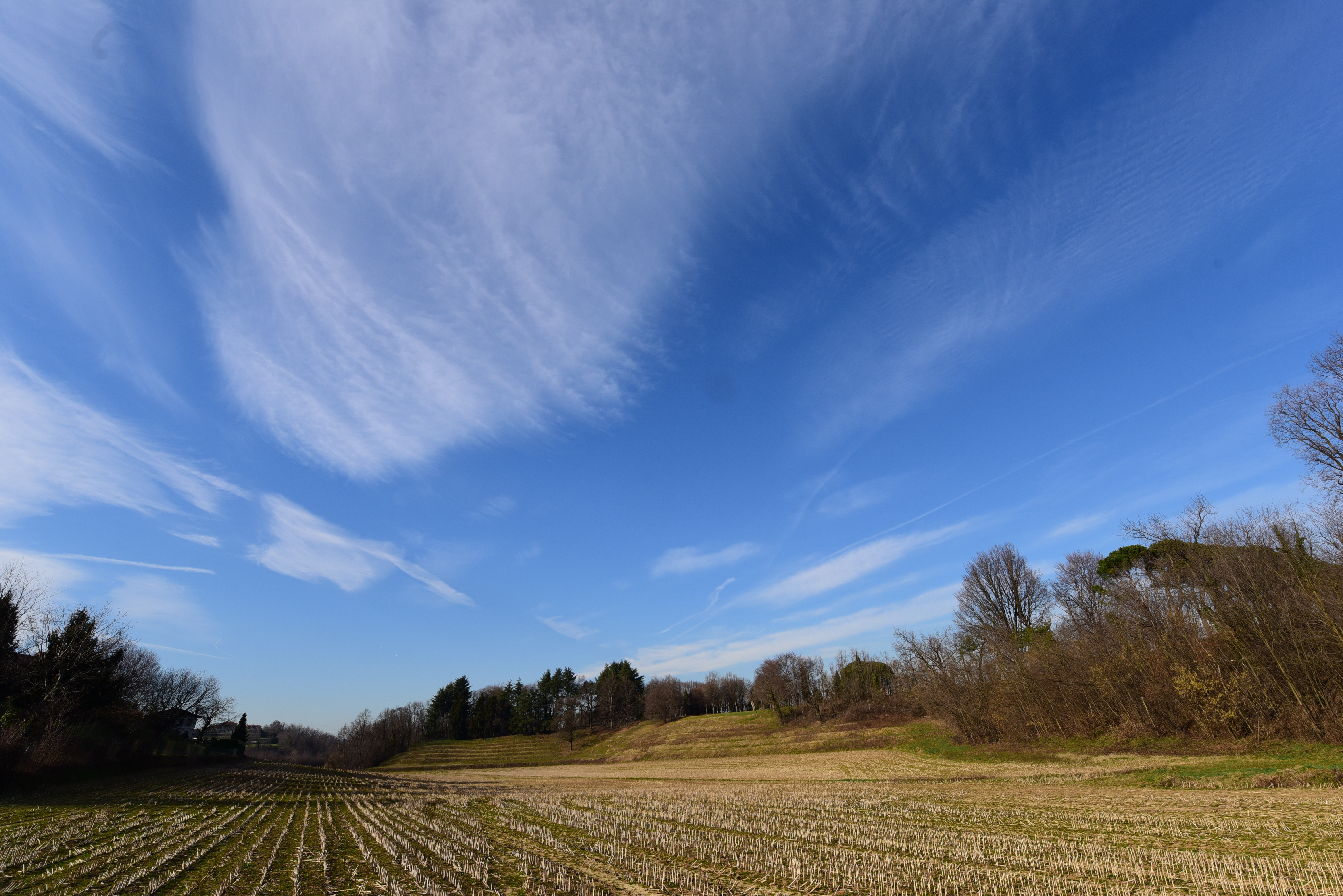 Casatenovo_dintorni (23)