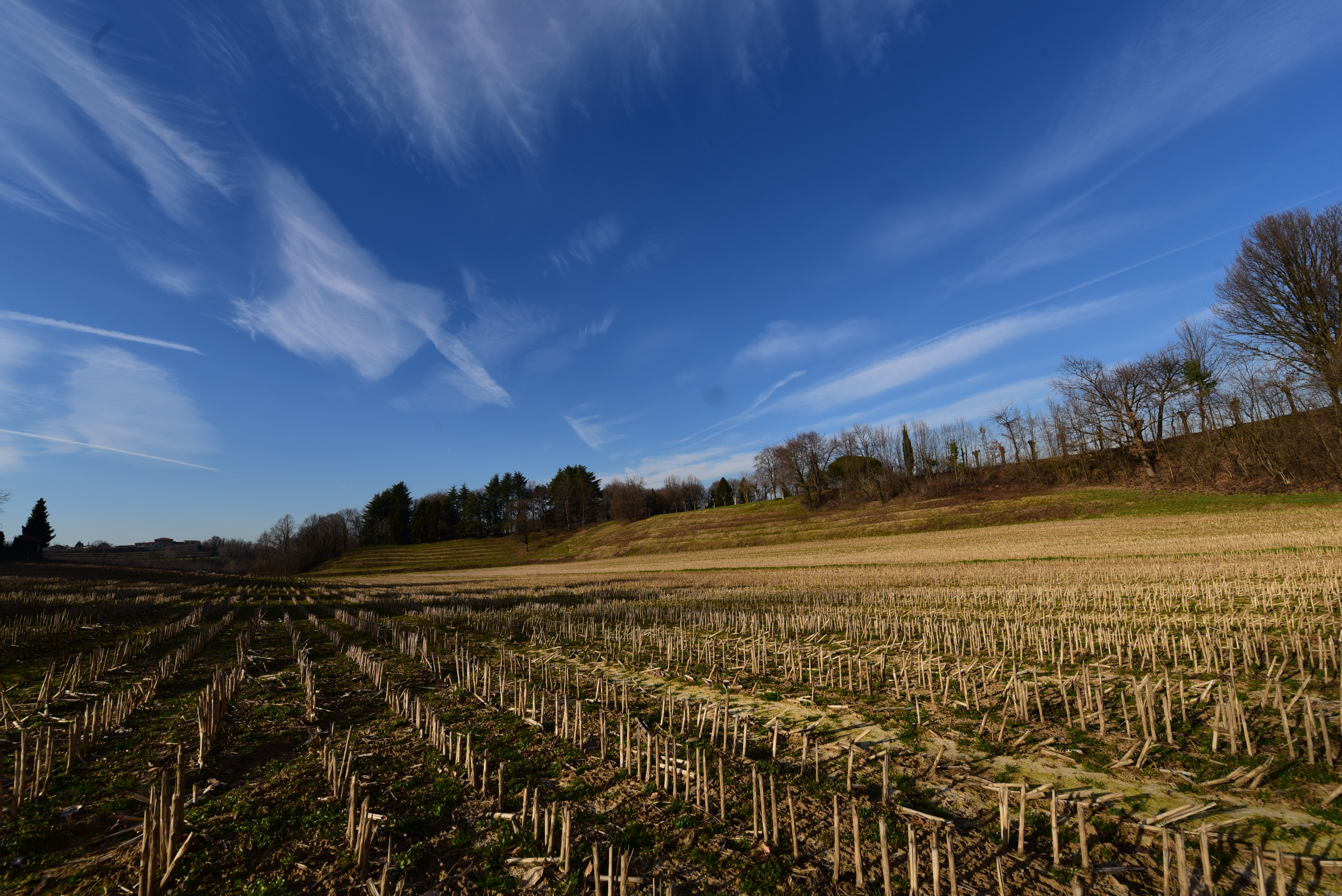 Casatenovo_dintorni (24)